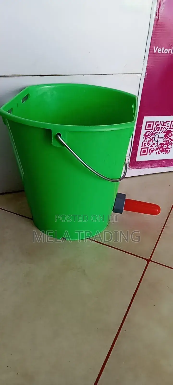 የጥጆች ጡጦ እና መመገቢያ