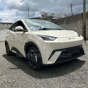 New BYD Seagull 38 kWh FWD 2023 Beige