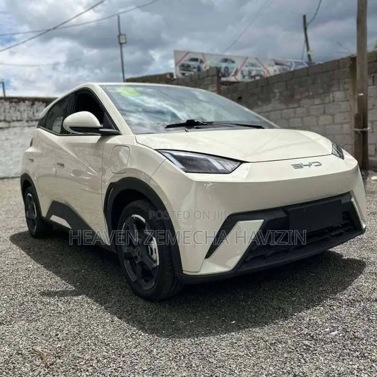 New BYD Seagull 38 kWh FWD 2023 Beige