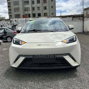 New BYD Seagull 38 kWh FWD 2023 Beige