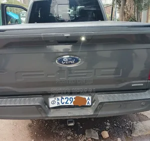 Ford F-150 2020 Gray