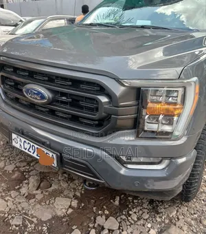Ford F-150 2020 Gray