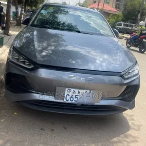 Photo - BYD E2 43 kWh 94 hp FWD 2024 Gray