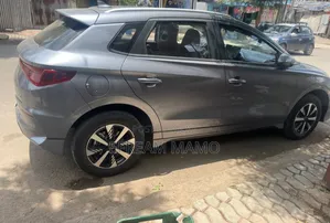 BYD E2 43 kWh 94 hp FWD 2024 Gray