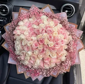 Photo - Flowers(አበባ)