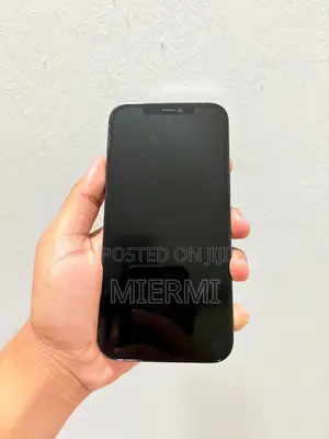 Apple iPhone 12 Pro Max 256 GB Blue