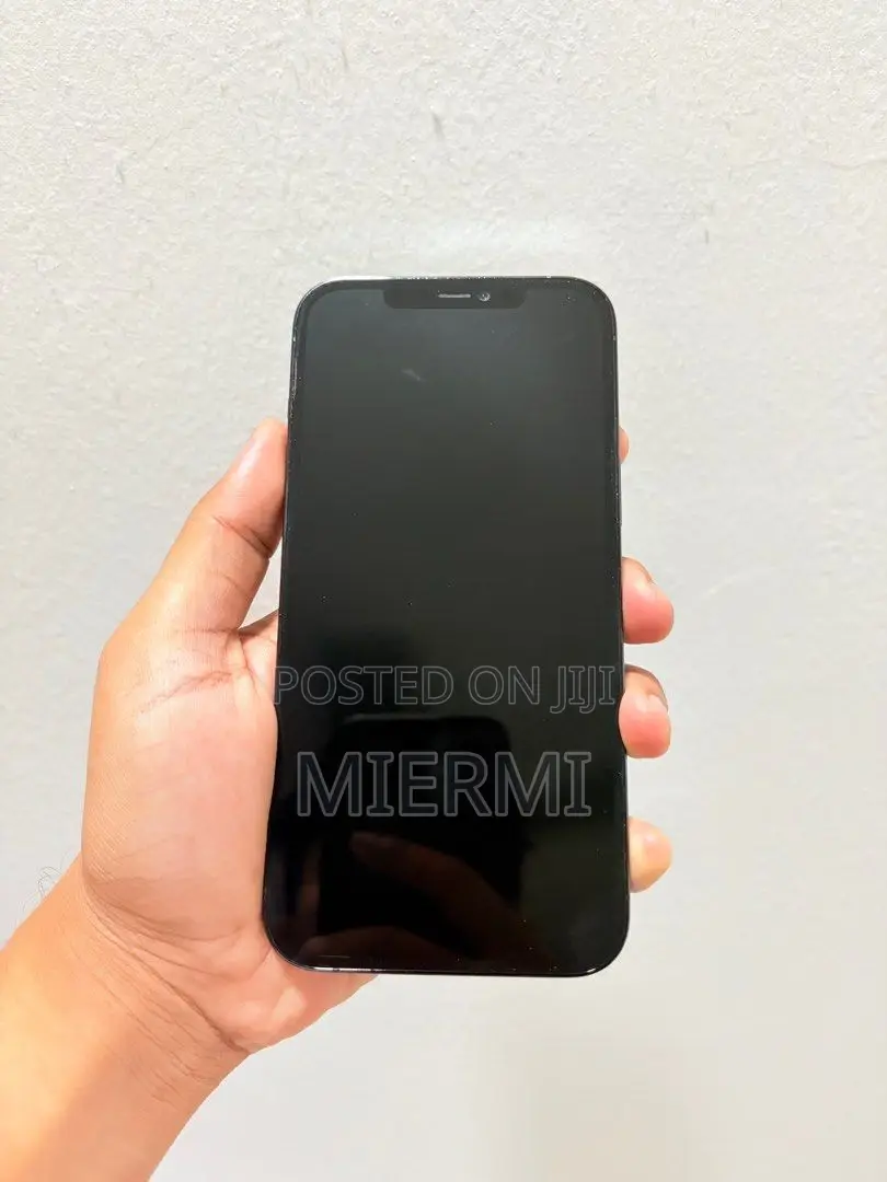 Apple iPhone 12 Pro Max 256 GB Blue