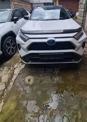 New Toyota RAV4 2024 White