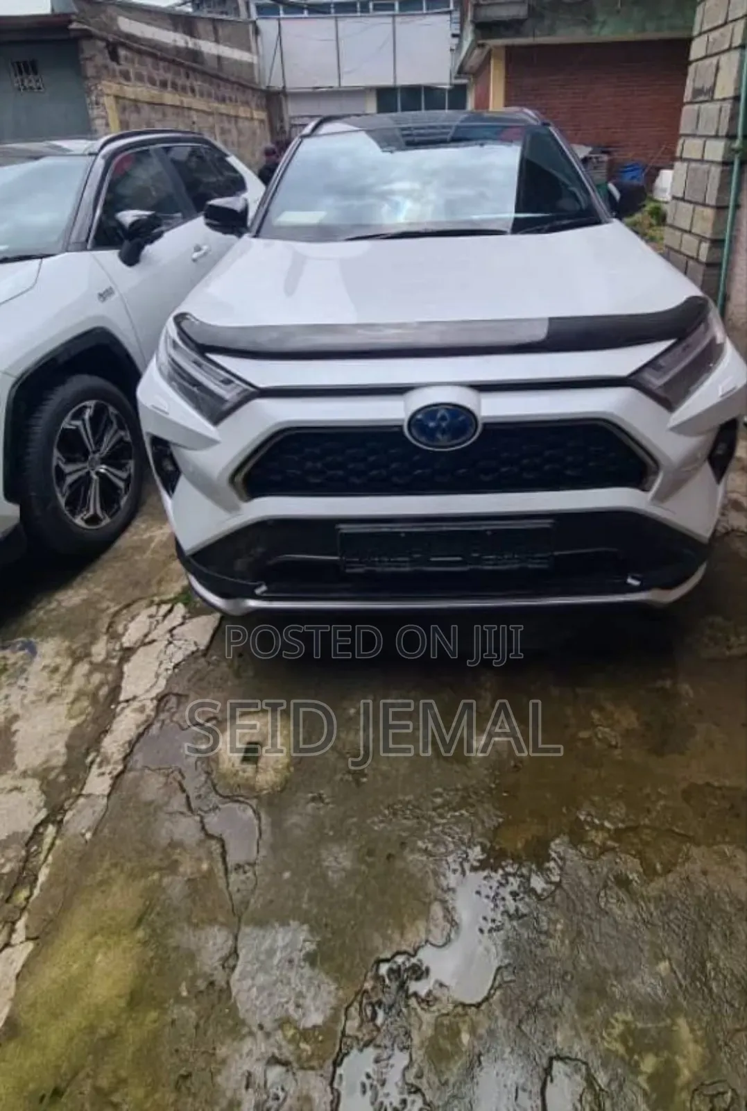 New Toyota RAV4 2024 White