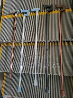 Photo - Walking Stick Remains Lightweight,Guaranteeing Effortless