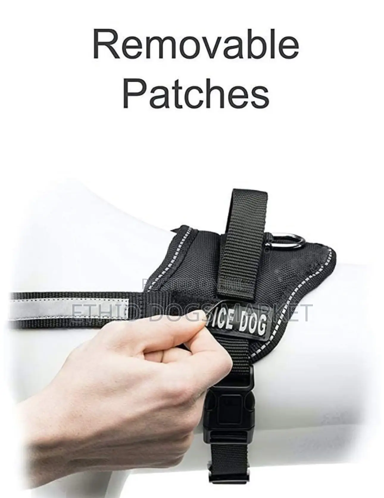 Police Harness