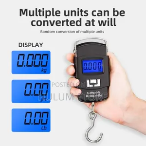 Portable Electrical Scale