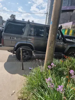 Toyota Land Cruiser 2021