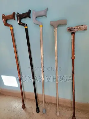 Photo - Walking Stick