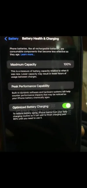 New Apple iPhone 13 Pro Max 256 GB Silver