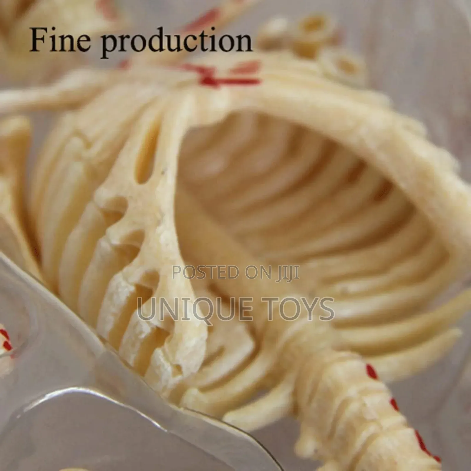 4d Human Muscles Skeleton Anatomy Model, 46-Piece