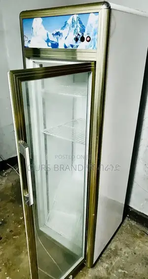 Samsung High Quality Display Fridge