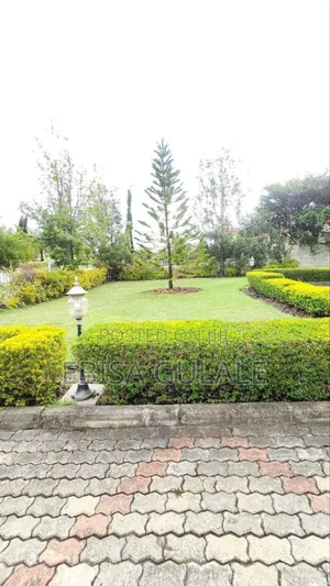 Furnished 6bdrm Farm House in Cccd, Oromia-Finfinne for rent