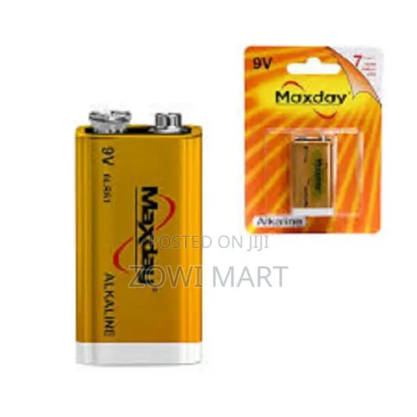 Maxday 9v Batteries