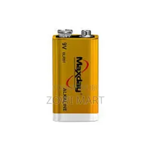 Maxday 9v Batteries