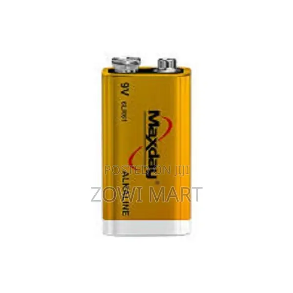 Maxday 9v Batteries