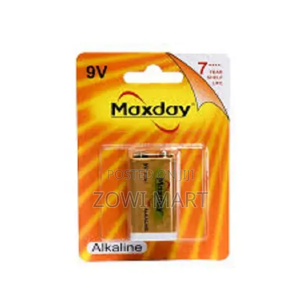 Maxday 9v Batteries