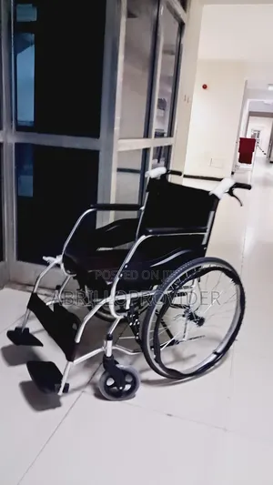 Toilet Wheelchair