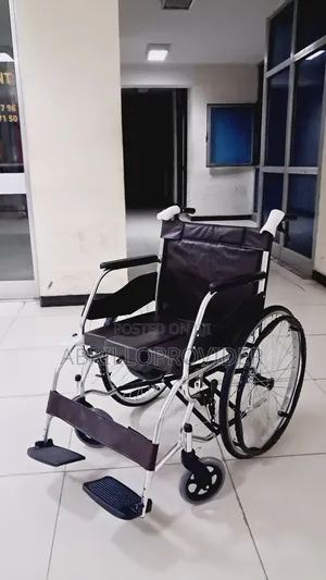 Toilet Wheelchair