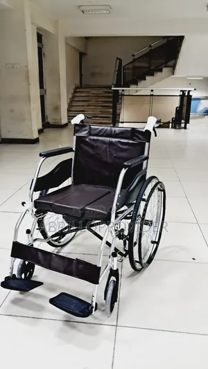 Toilet Wheelchair