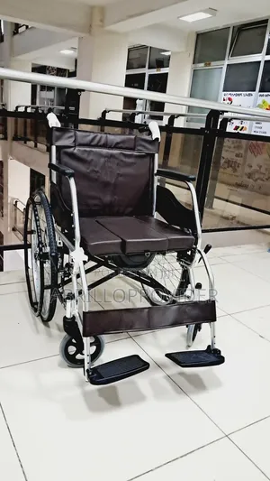 Toilet Wheelchair