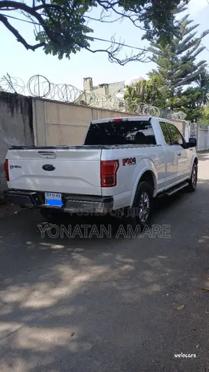 Ford F-150 2016 White