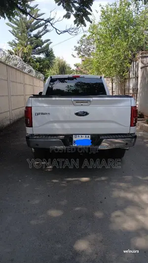 Ford F-150 2016 White