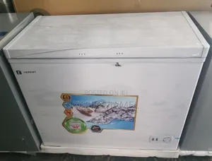 Everst Chest Freezer Model 300