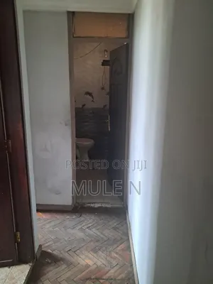 Furnished 1bdrm Condo in Bole Arabisa for sale