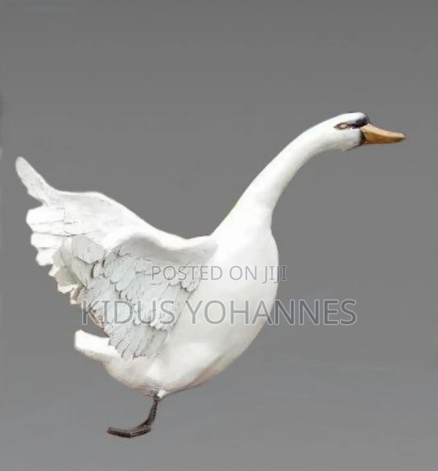 Sclupture And Fountains