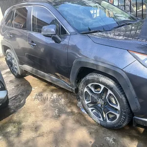 Toyota RAV4 Adventure AWD 2020 Gray