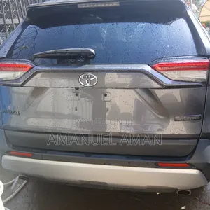 Toyota RAV4 Adventure AWD 2020 Gray