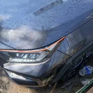 Toyota RAV4 Adventure AWD 2020 Gray