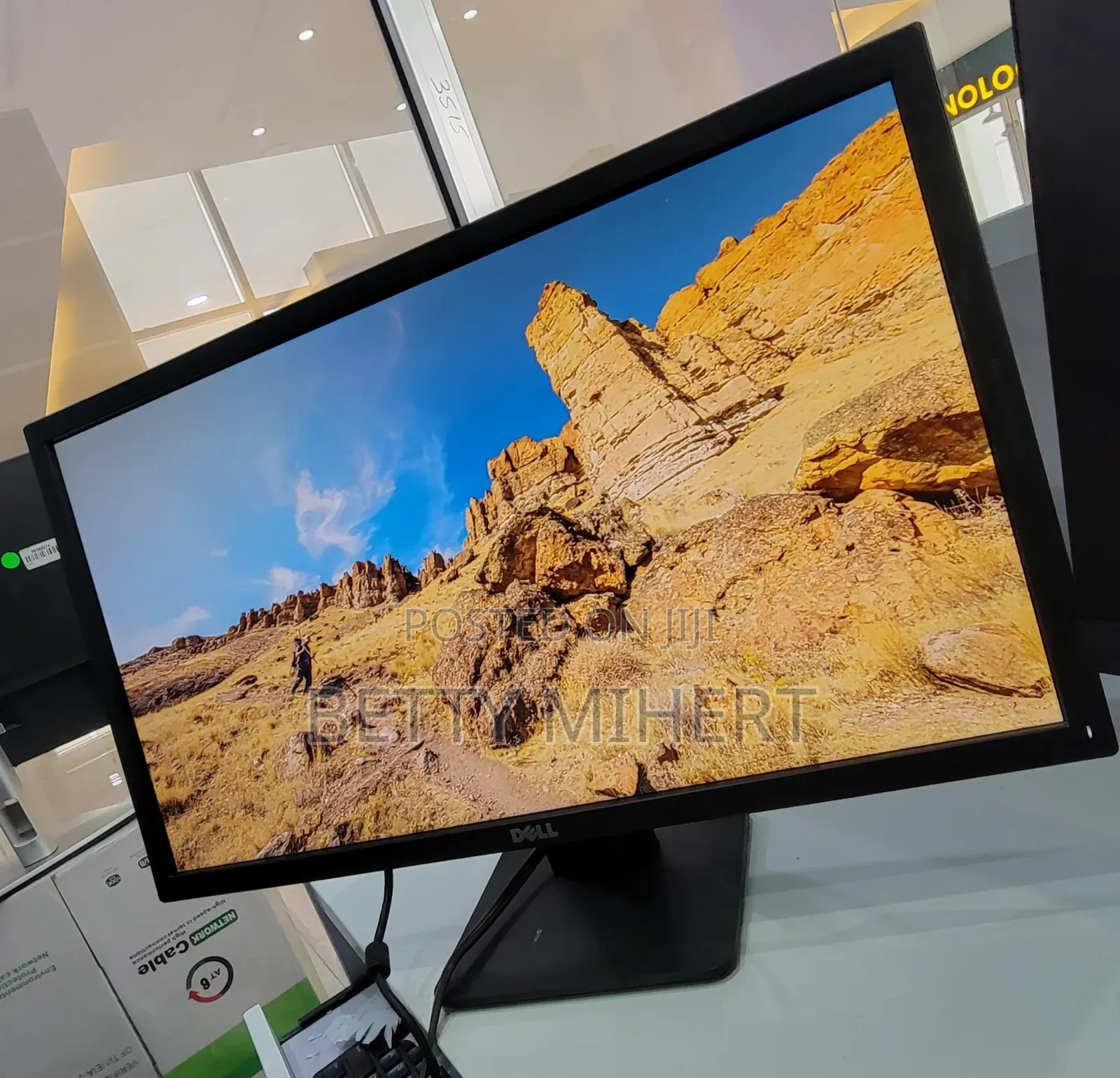 Dell 24inch LCD Monitor