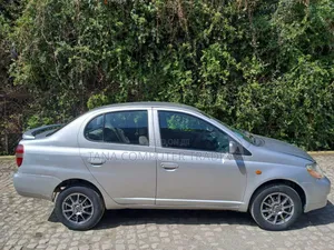 Toyota Platz 2001 Silver