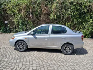 Toyota Platz 2001 Silver