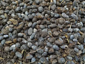 Photo - Organic Fertilizer