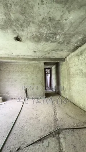 Furnished 3bdrm Condo in አዲስ አበባ, Bole for sale