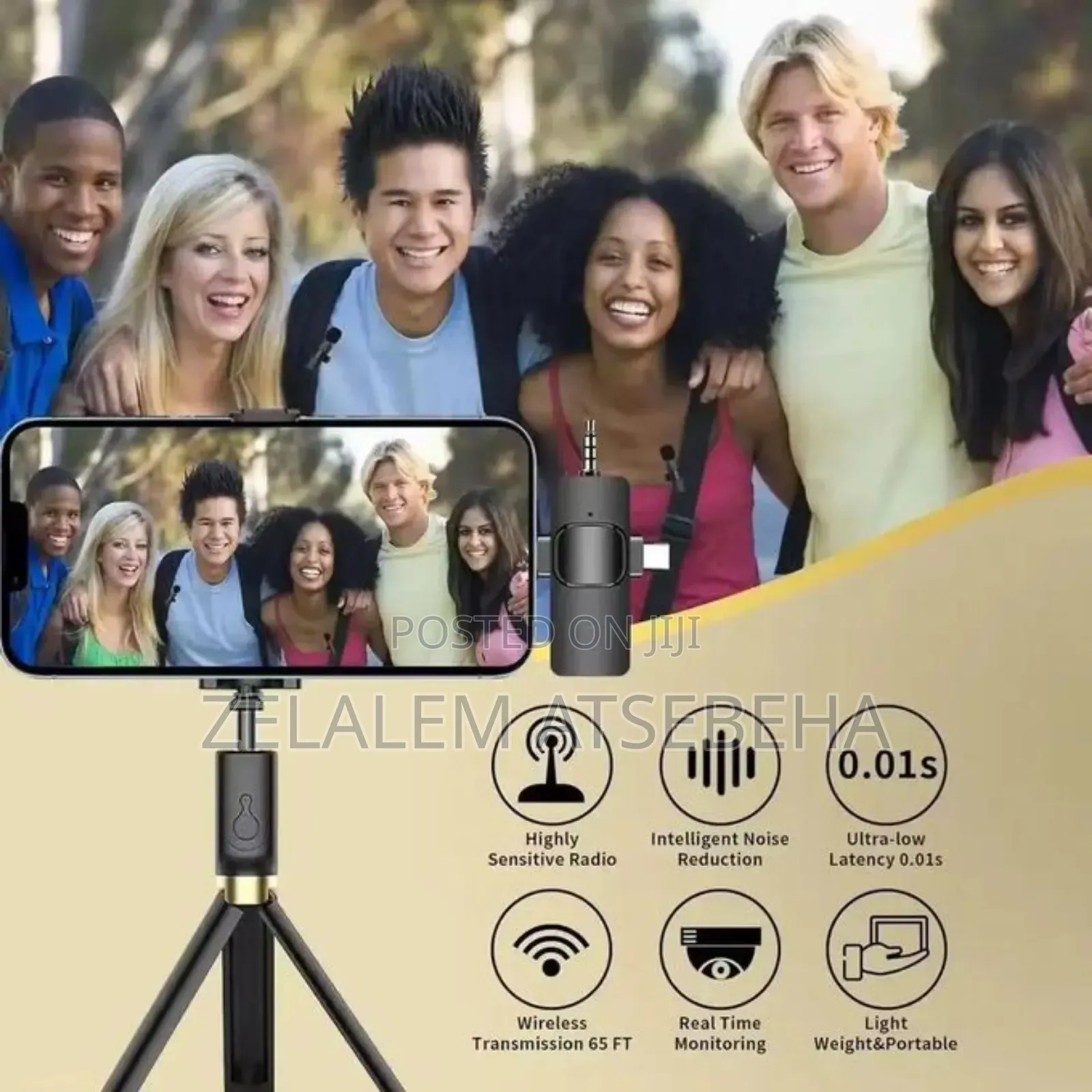 Wireless Microphone 2 in 1