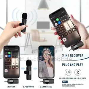 Wireless Microphone 2 in 1