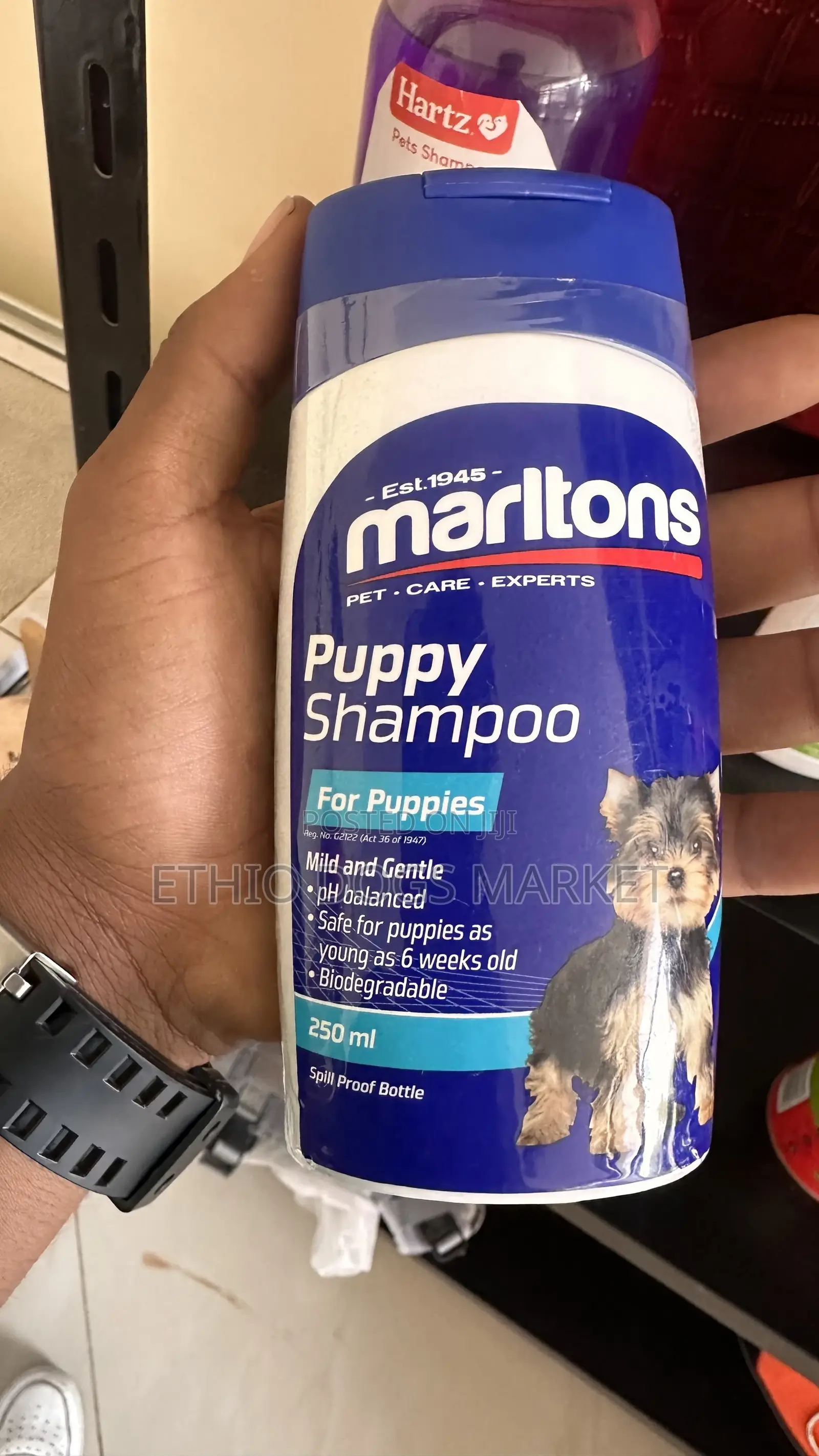 Tick and Fela Shampoo