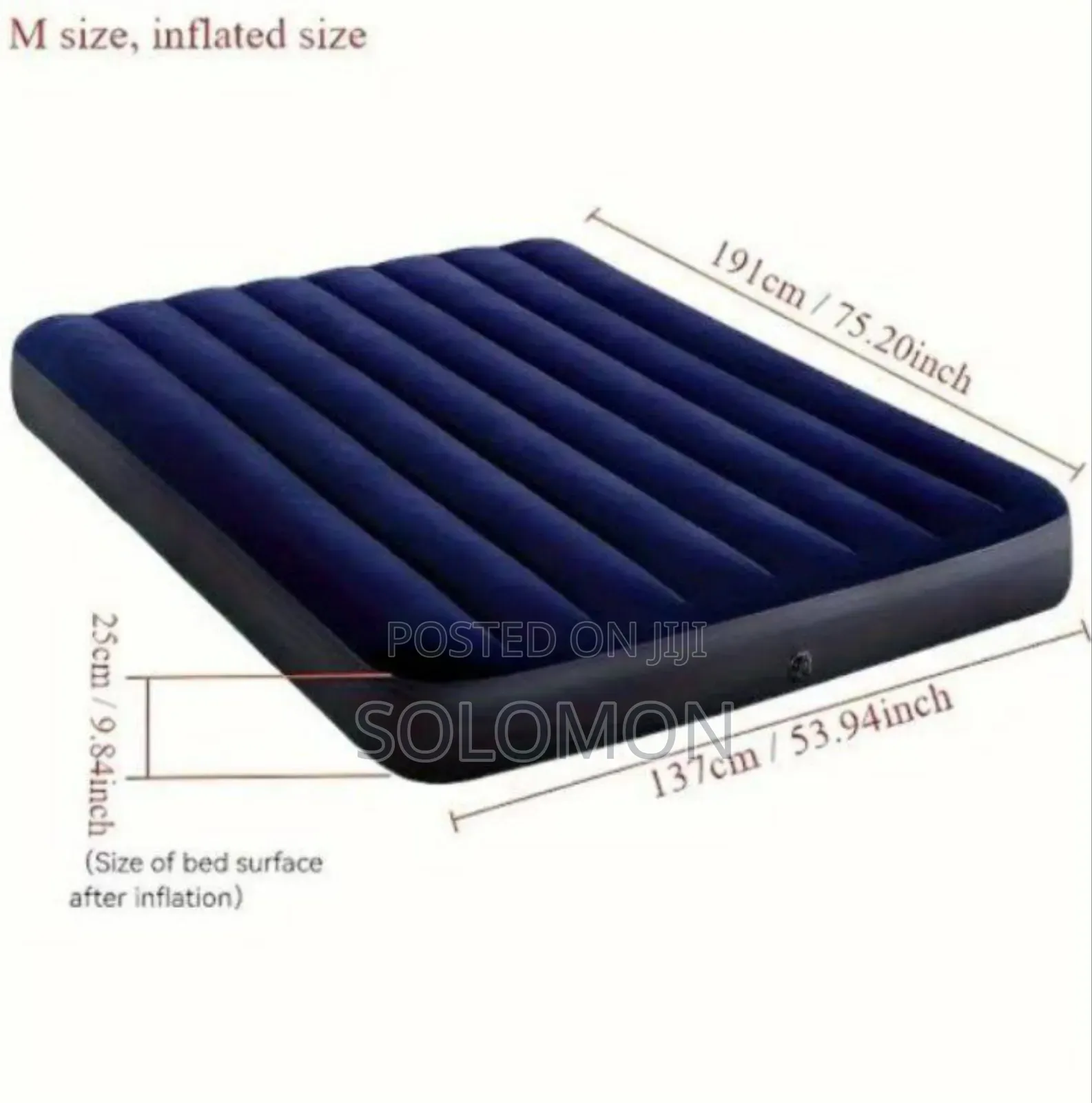 Intex Air Mattress