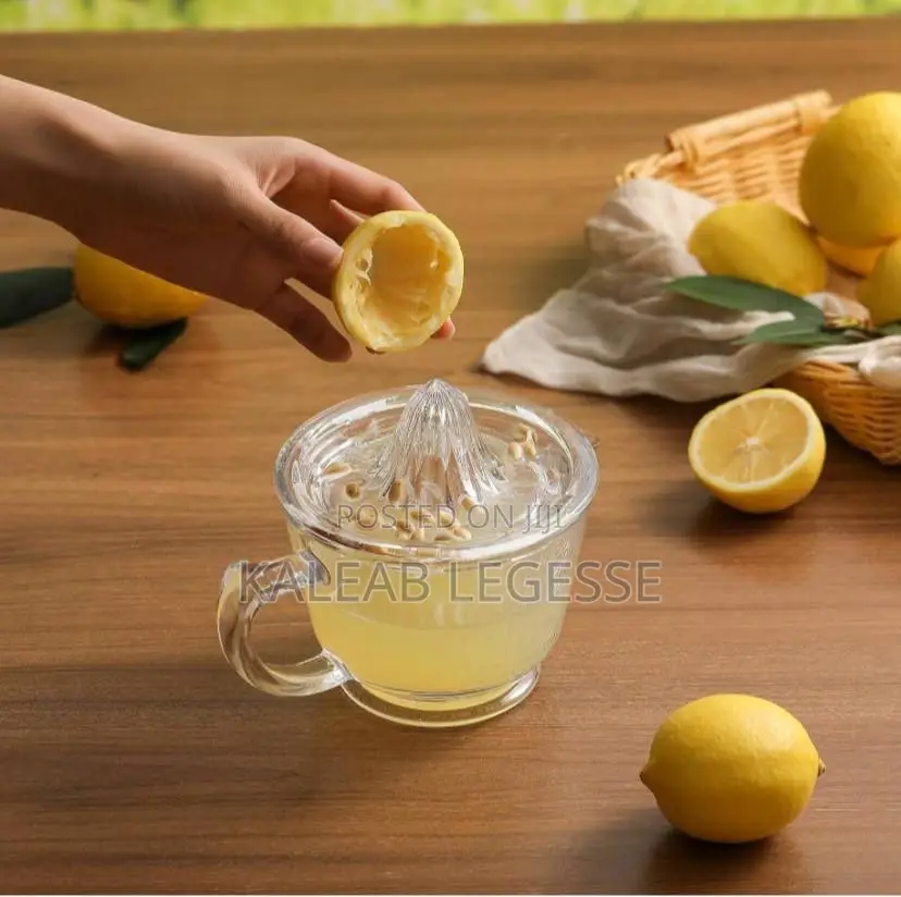  Manual Fruit Juicer With Jug