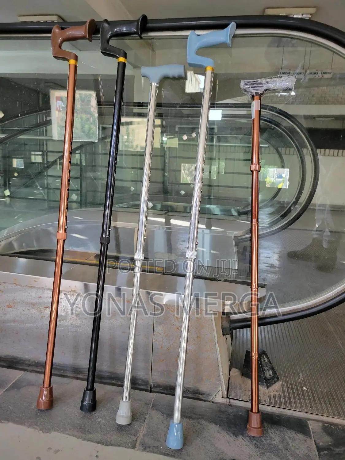 Walking Sticks墊0cane Can Also Be Used for Long Walks, Hiking