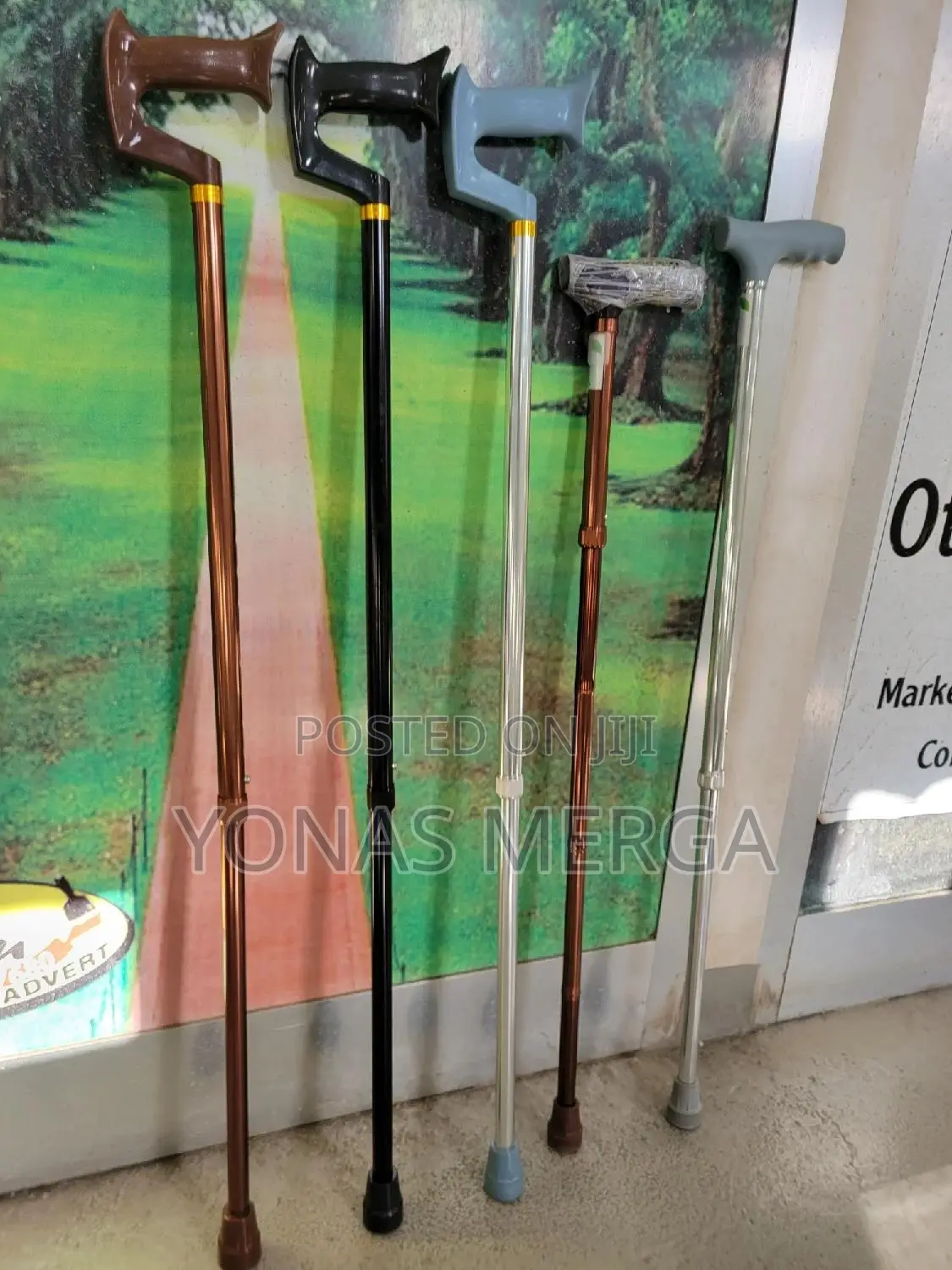 Cane// for Everyone The Walking Sticks Is Perfect Aid Senior